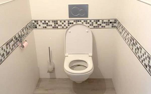 wc suspendu